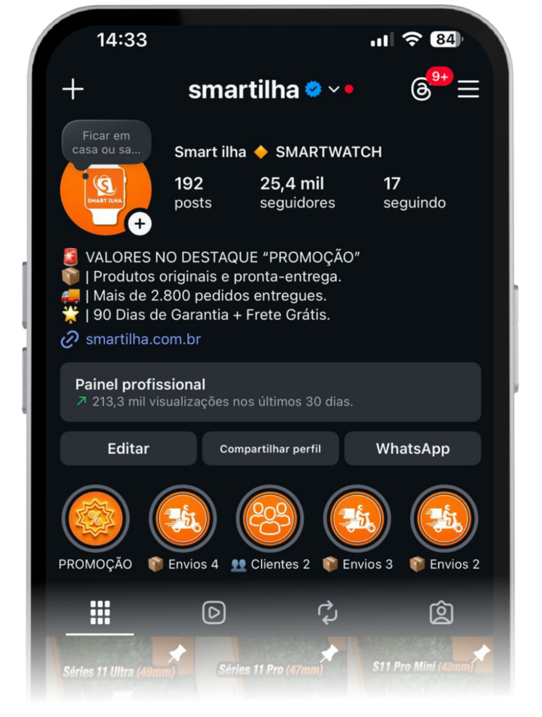 Perfil Instagram Smart Ilha